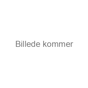 Bærebags